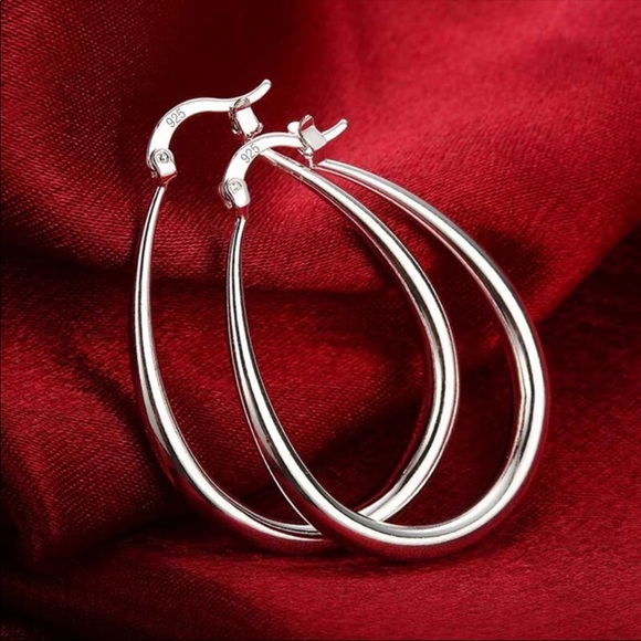 Chic Silver Teardrop Earrings - Picture 1 of 4
